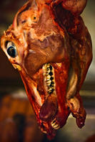 silentlamb, 2007