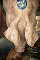 ham, 2007
