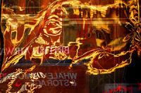 lafayette3,2005