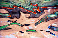 tidepool,2004