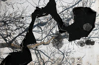 oldman,2005