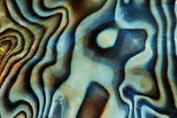 folds,2004