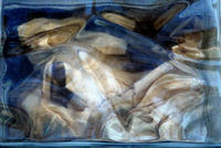 blueglassbrick,2004