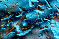 particledrift1,2004