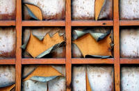 boxpeels2, 2003
