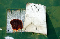 greenfence3, 2003