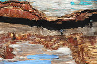 paintedfence, 2004