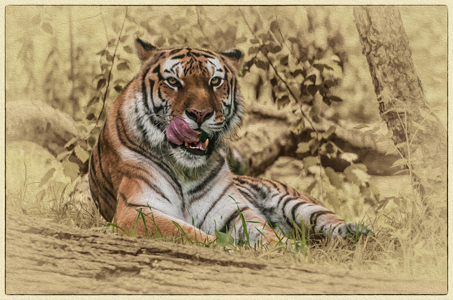 Tiger, Tiger, 2014