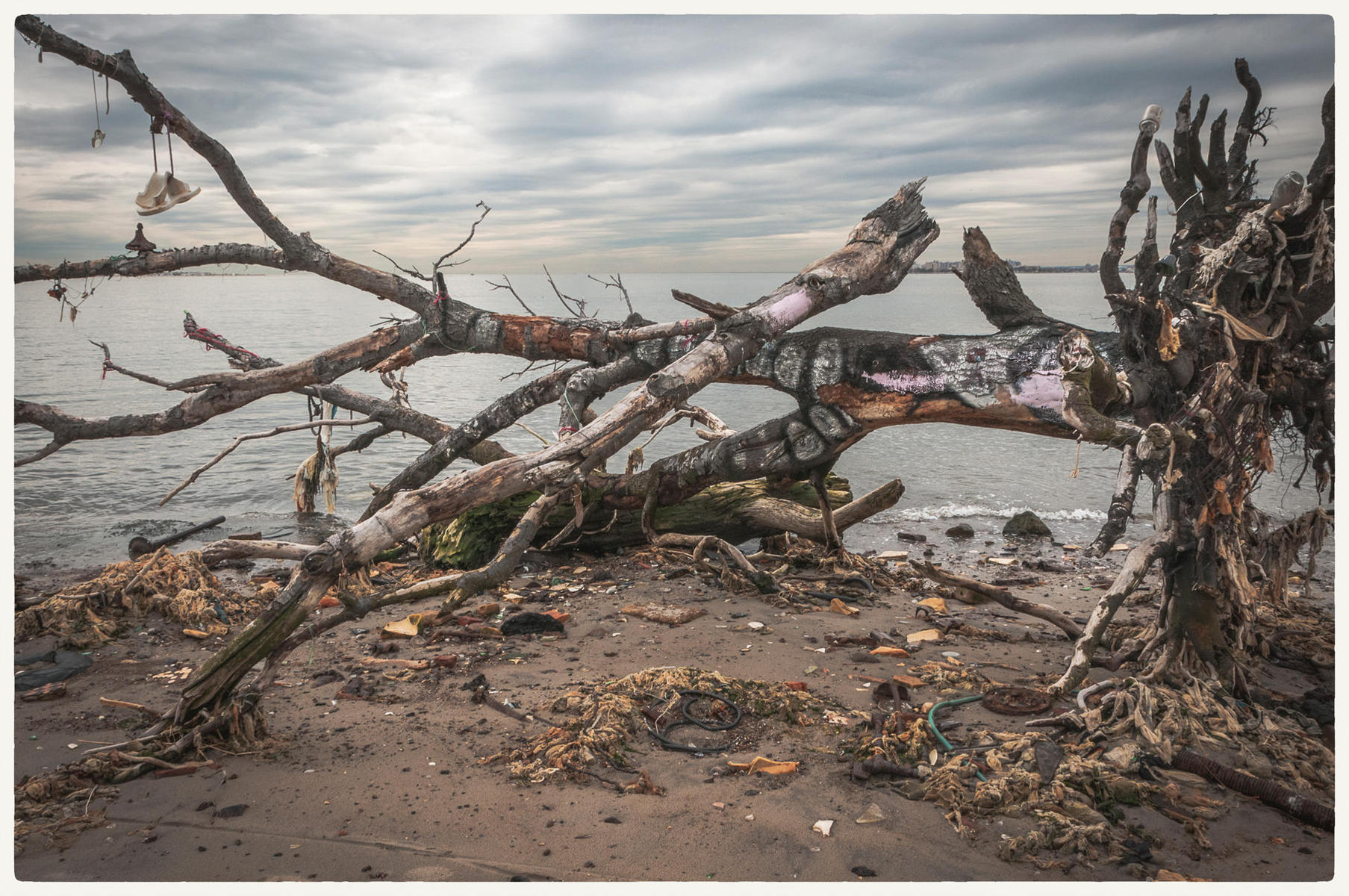 Dead Horse Debris, 2015