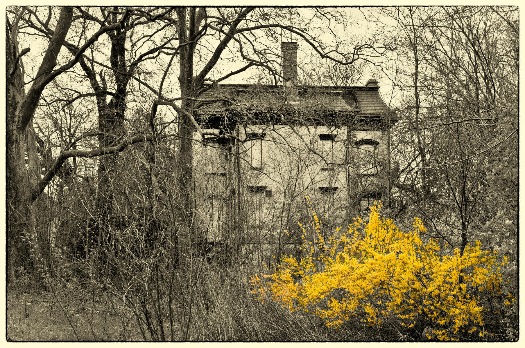House in the Woods, 2013