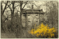© Copyright 2025 Barbara E. Leven. All rights reserved.