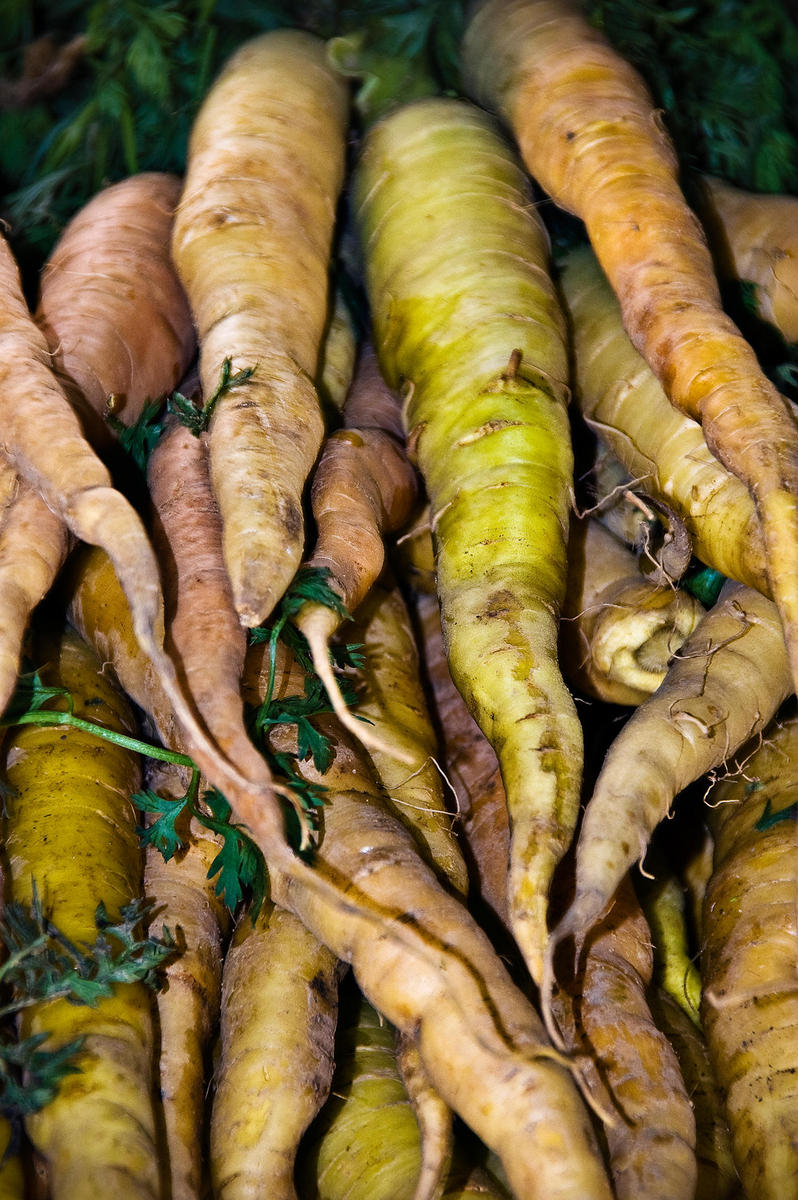 carrots, 2008