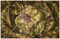 © Copyright 2025 Barbara E. Leven. All rights reserved.