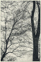 © Copyright 2023 Barbara E. Leven. All rights reserved.