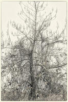 © Copyright 2023 Barbara E. Leven. All rights reserved.