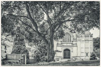 © Copyright 2023 Barbara E. Leven. All rights reserved.
