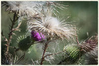 © Copyright 2025 Barbara E. Leven. All rights reserved.