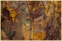 © Copyright 2023 Barbara E. Leven. All rights reserved.