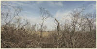 © Copyright 2023 Barbara E. Leven. All rights reserved.