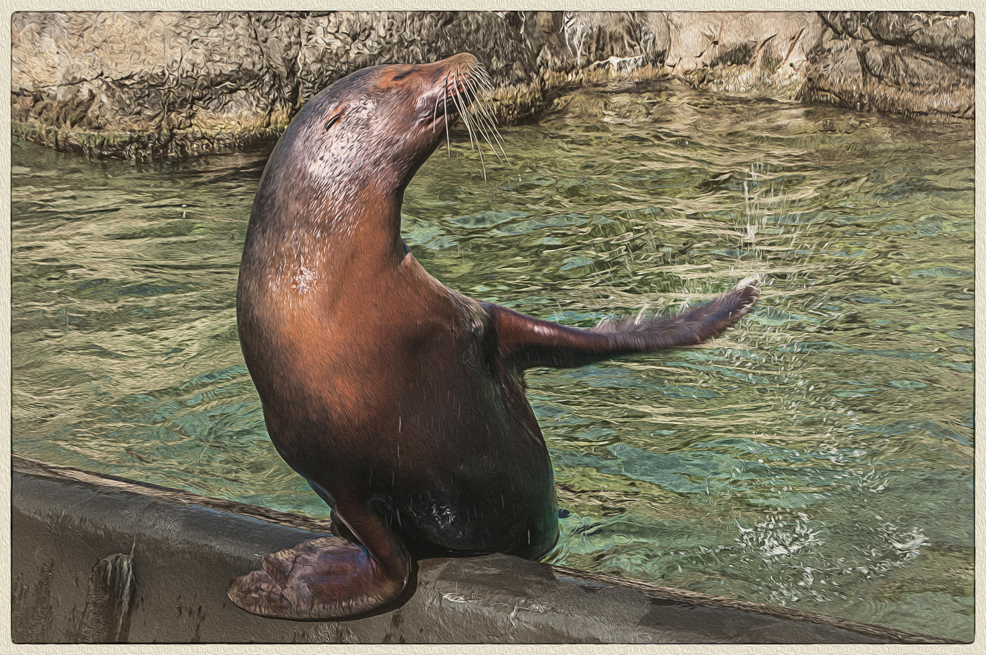 Dancing Sea Lion, 2015