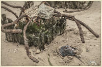 © Copyright 2025 Barbara E. Leven. All rights reserved.
