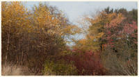 © Copyright 2023 Barbara E. Leven. All rights reserved.