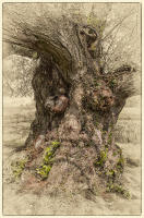 © Copyright 2023 Barbara E. Leven. All rights reserved.