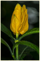 © Copyright 2025 Barbara E. Leven. All rights reserved.