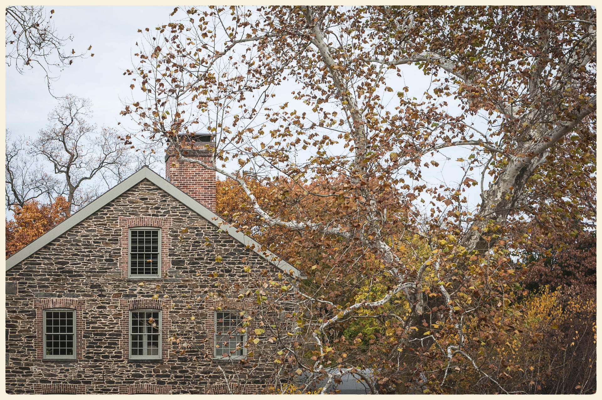 Stone Mill, 2014