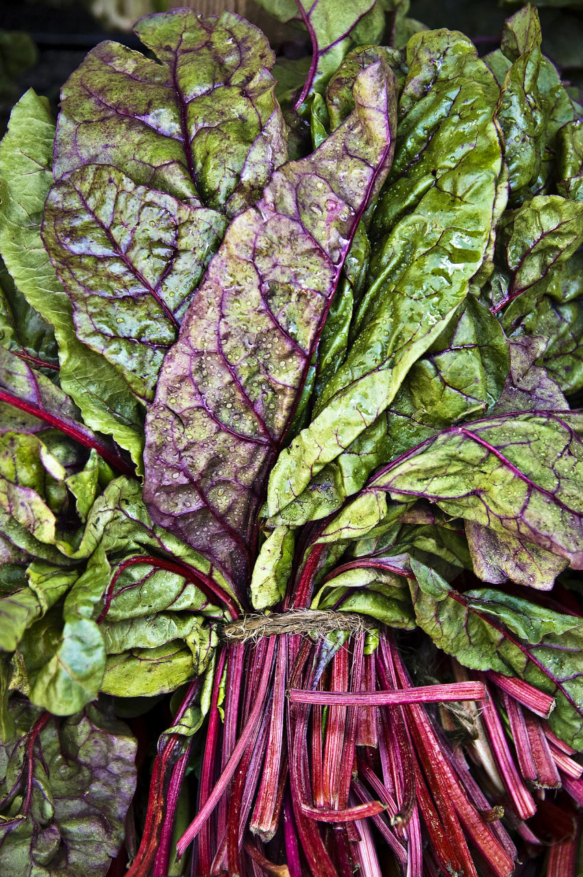 swiss chard, 2008