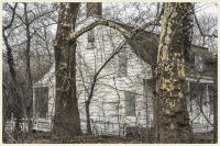 © Copyright 2025 Barbara E. Leven. All rights reserved.