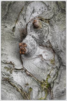© Copyright 2023 Barbara E. Leven. All rights reserved.