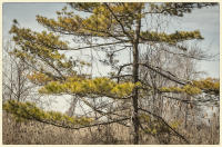 © Copyright 2023 Barbara E. Leven. All rights reserved.