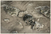 © Copyright 2025 Barbara E. Leven. All rights reserved.