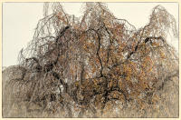 © Copyright 2023 Barbara E. Leven. All rights reserved.