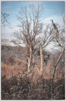 © Copyright 2023 Barbara E. Leven. All rights reserved.