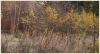 © Copyright 2023 Barbara E. Leven. All rights reserved.
