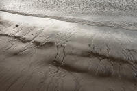 © Copyright 2025 Barbara E. Leven. All rights reserved.
