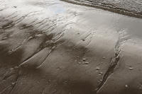 © Copyright 2025 Barbara E. Leven. All rights reserved.