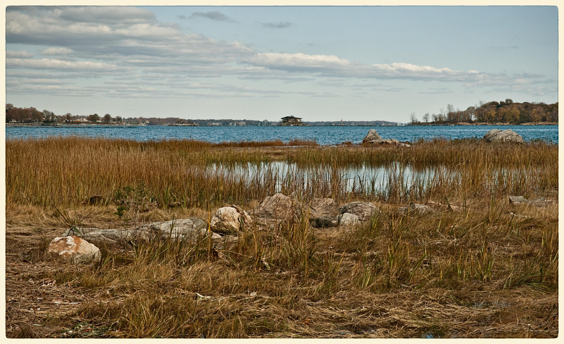 Pelham Bay Marsh, 2009