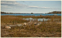© Copyright 2023 Barbara E. Leven. All rights reserved.
