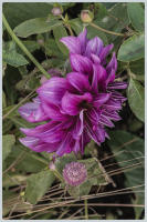 © Copyright 2025 Barbara E. Leven. All rights reserved.