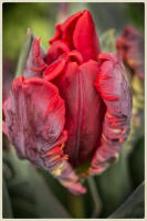 © Copyright 2025 Barbara E. Leven. All rights reserved.