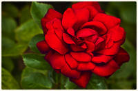 © Copyright 2025 Barbara E. Leven. All rights reserved.