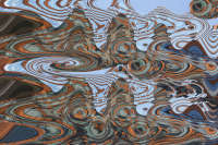 © Copyright 2025 Barbara E. Leven. All rights reserved.