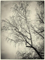© Copyright 2023 Barbara E. Leven. All rights reserved.