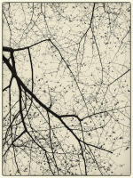 © Copyright 2023 Barbara E. Leven. All rights reserved.