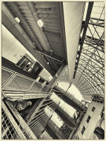© Copyright 2025 Barbara E. Leven. All rights reserved.