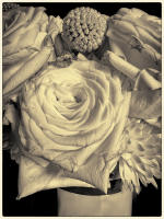 © Copyright 2025 Barbara E. Leven. All rights reserved.