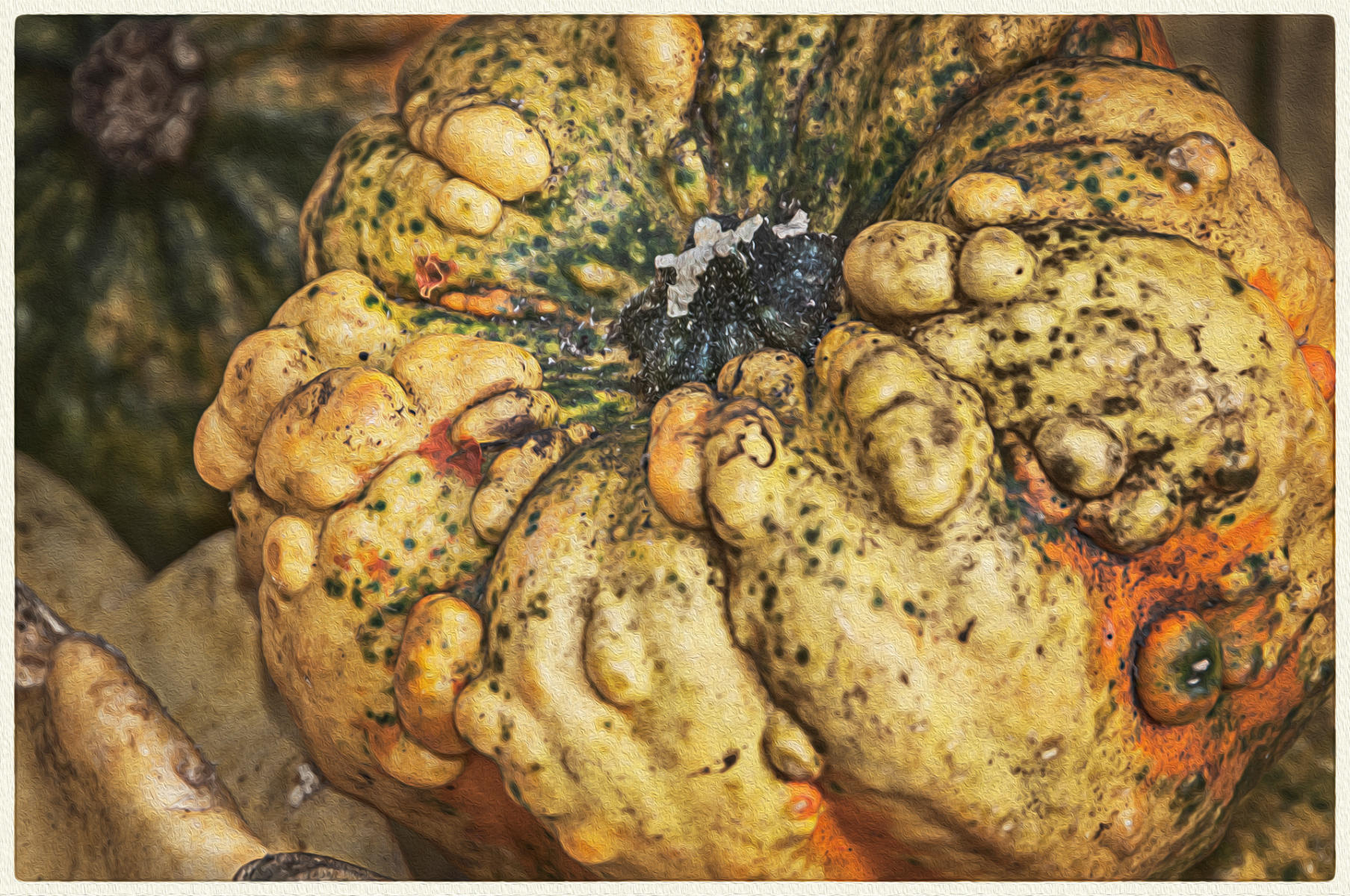 November Gourd, 2015